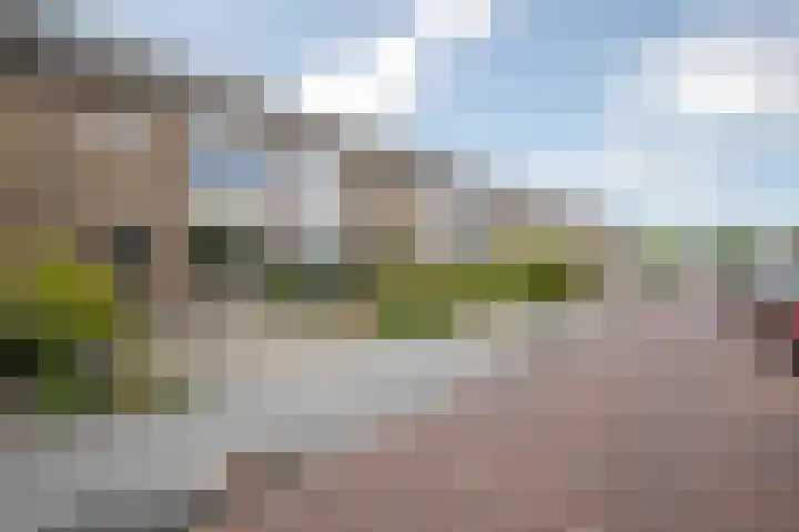 Rozenstraat 49 Zevenhuizen thumbnail 6