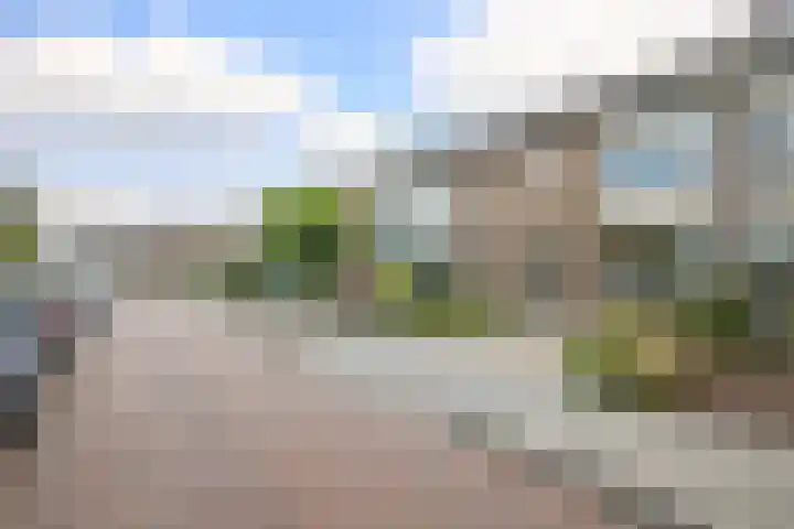 Rozenstraat 49 Zevenhuizen thumbnail 7
