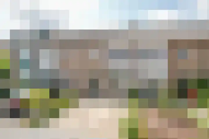 Rozenstraat 49 Zevenhuizen thumbnail 8