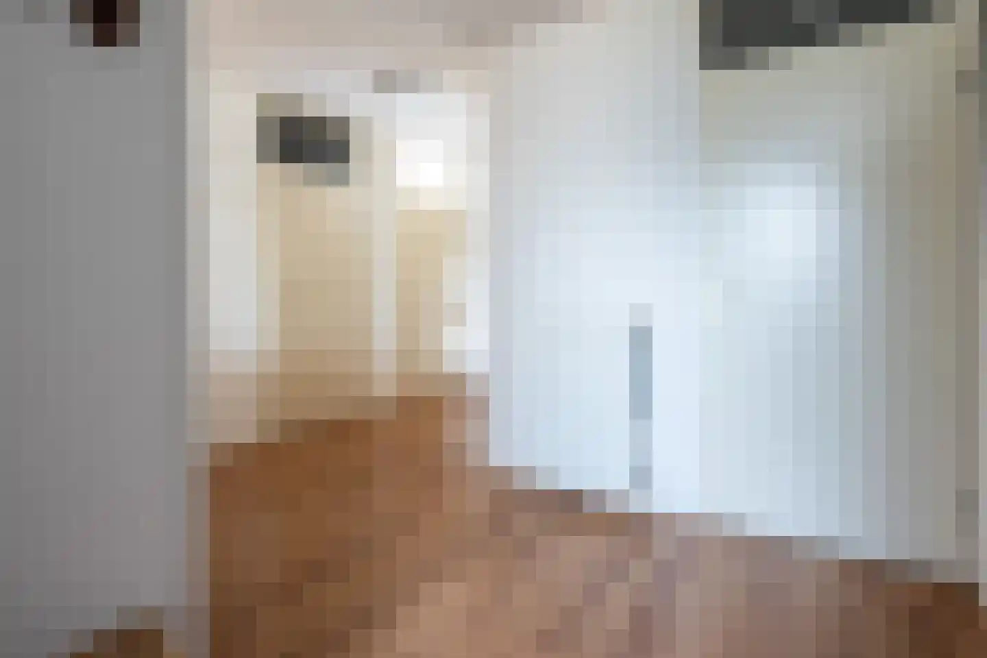Rozenstraat 5 B Zeist thumbnail 19