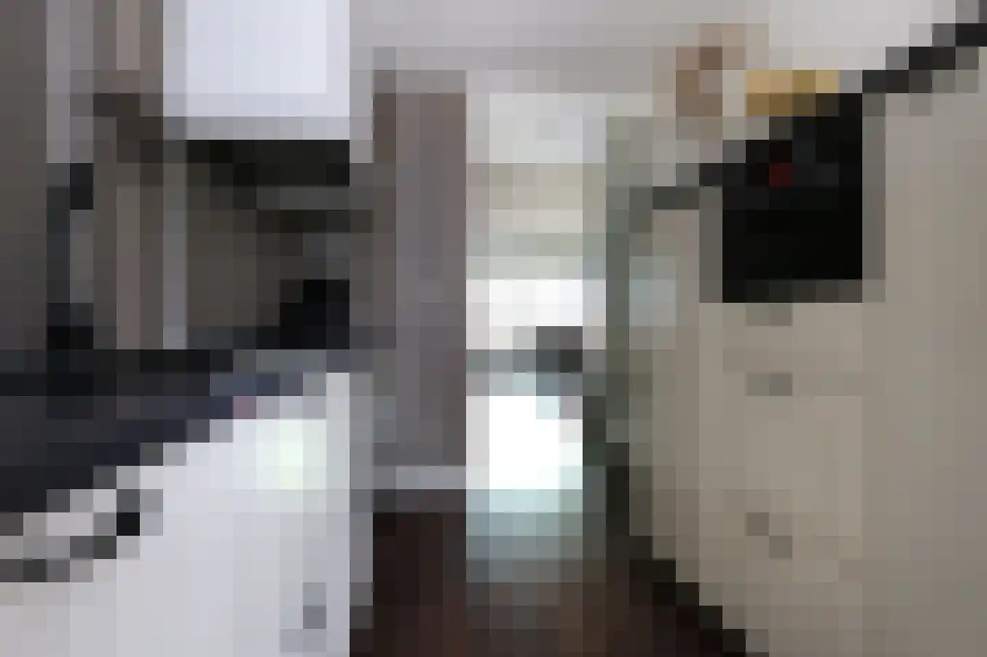 Rozenstraat 5 Bovensmilde thumbnail 10