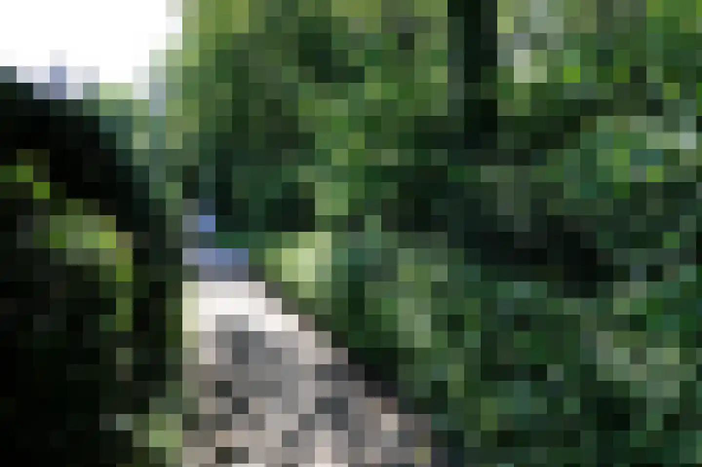 Rozenstraat 5 Bovensmilde thumbnail 17