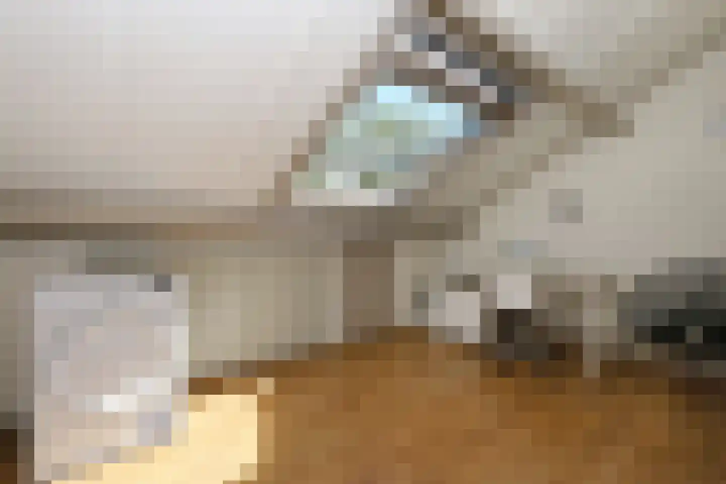 Rozenstraat 5 Bovensmilde thumbnail 23