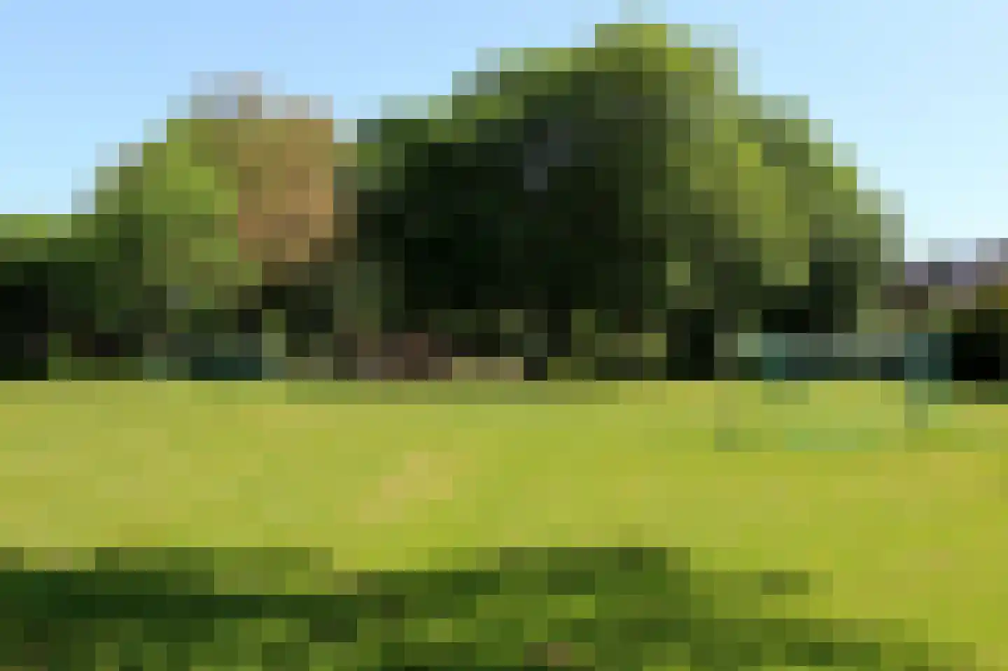 Rozenstraat 5 Bovensmilde thumbnail 4