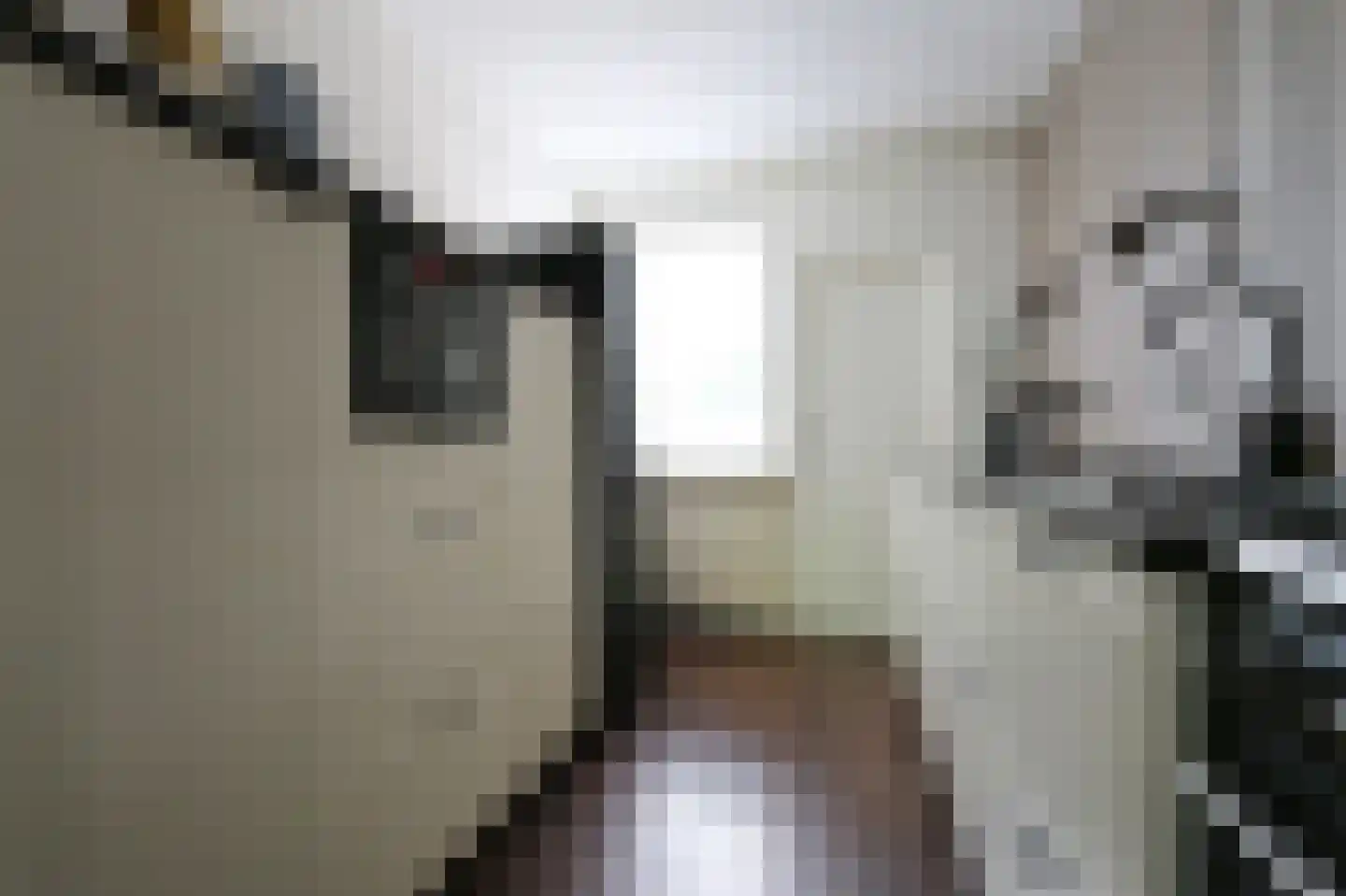 Rozenstraat 5 Bovensmilde thumbnail 8