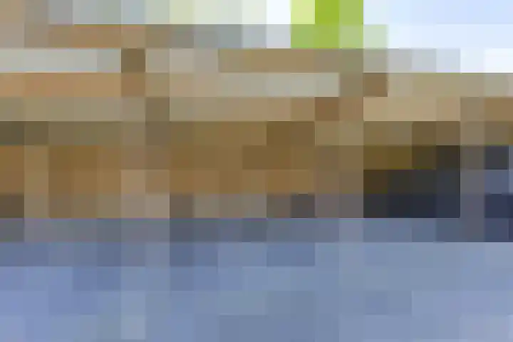 Rozenstraat 5 C Zeist thumbnail 37
