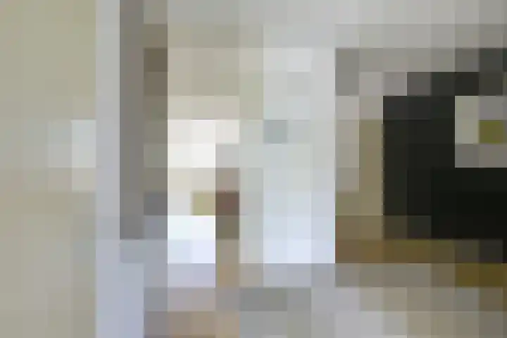 Rozenstraat 5 C Zeist thumbnail 4