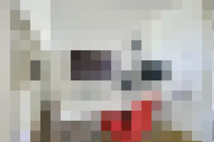 Rozenstraat 5 C Zeist thumbnail 6