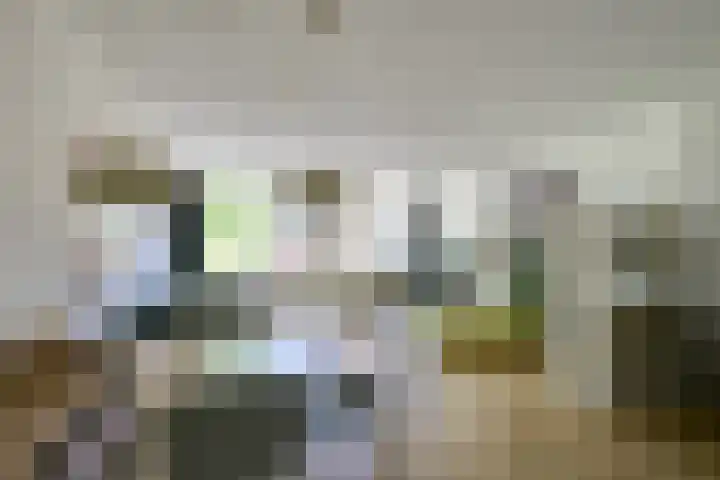 Rozenstraat 5 C Zeist thumbnail 8