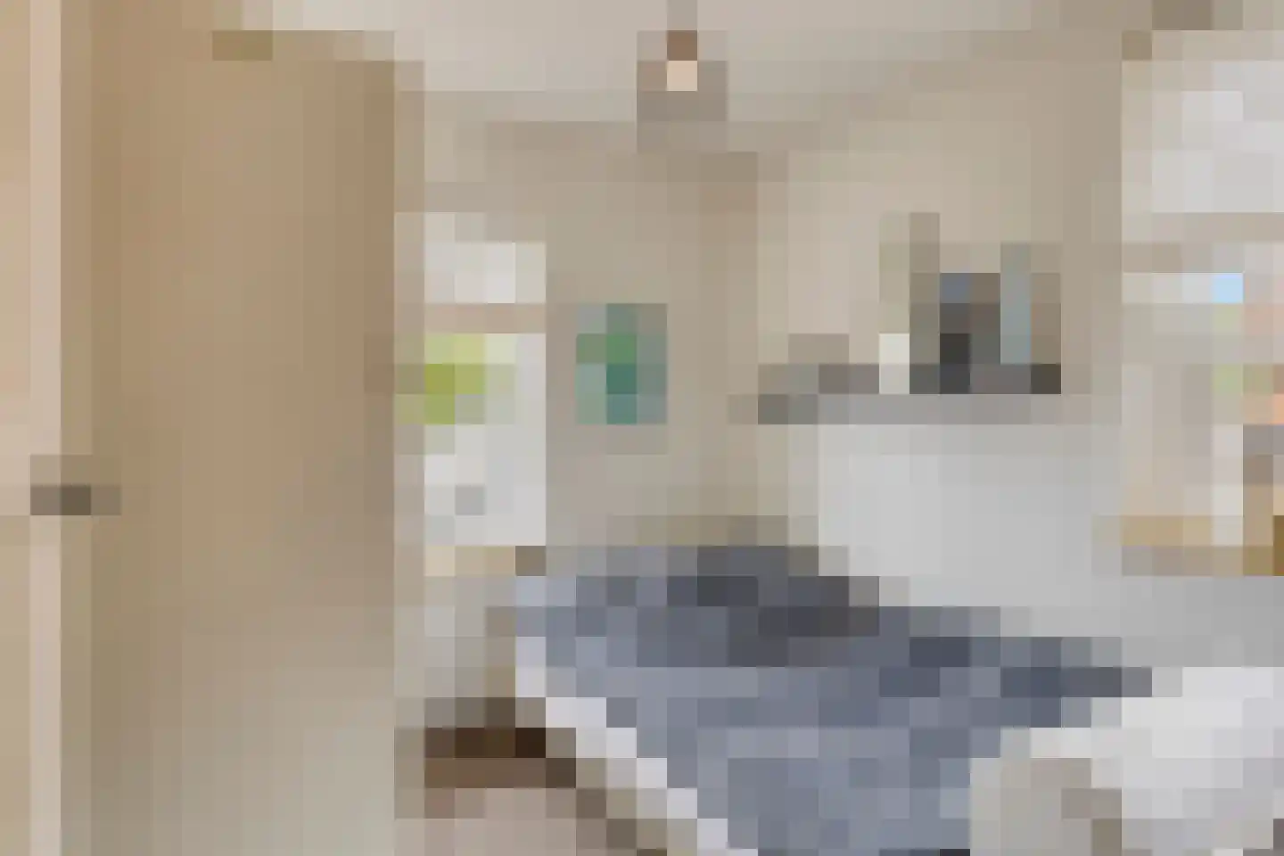 Rozenstraat 5 Hengelo (Gld) thumbnail 24