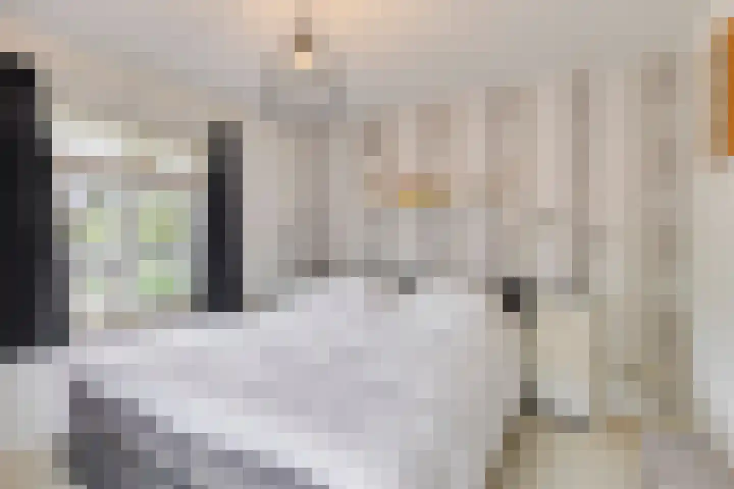 Rozenstraat 5 Hengelo (Gld) thumbnail 25