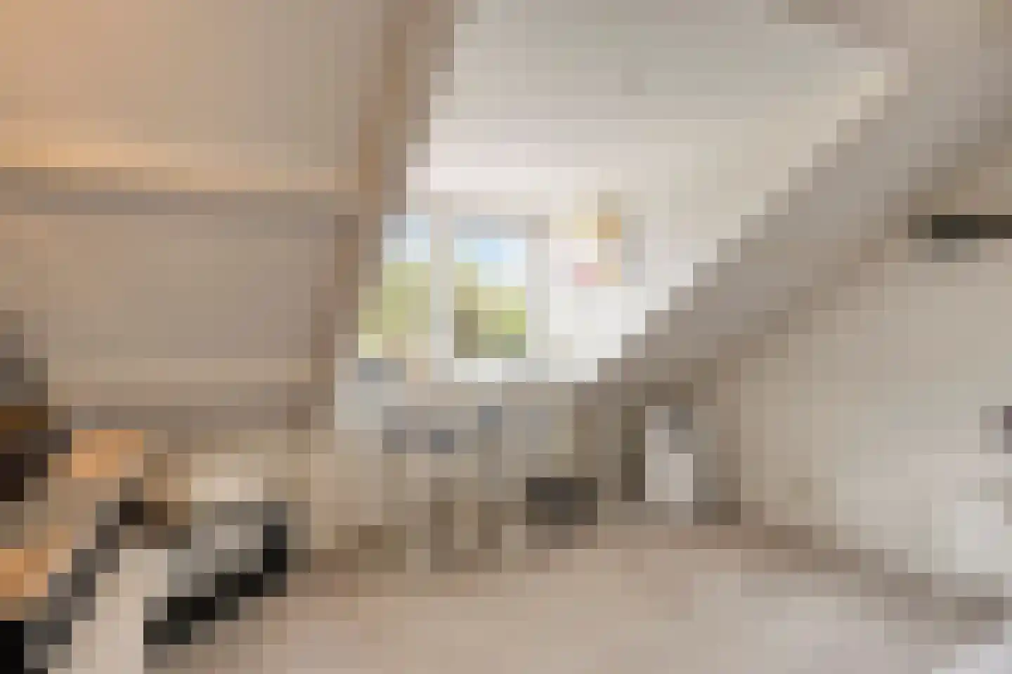 Rozenstraat 5 Hengelo (Gld) thumbnail 32