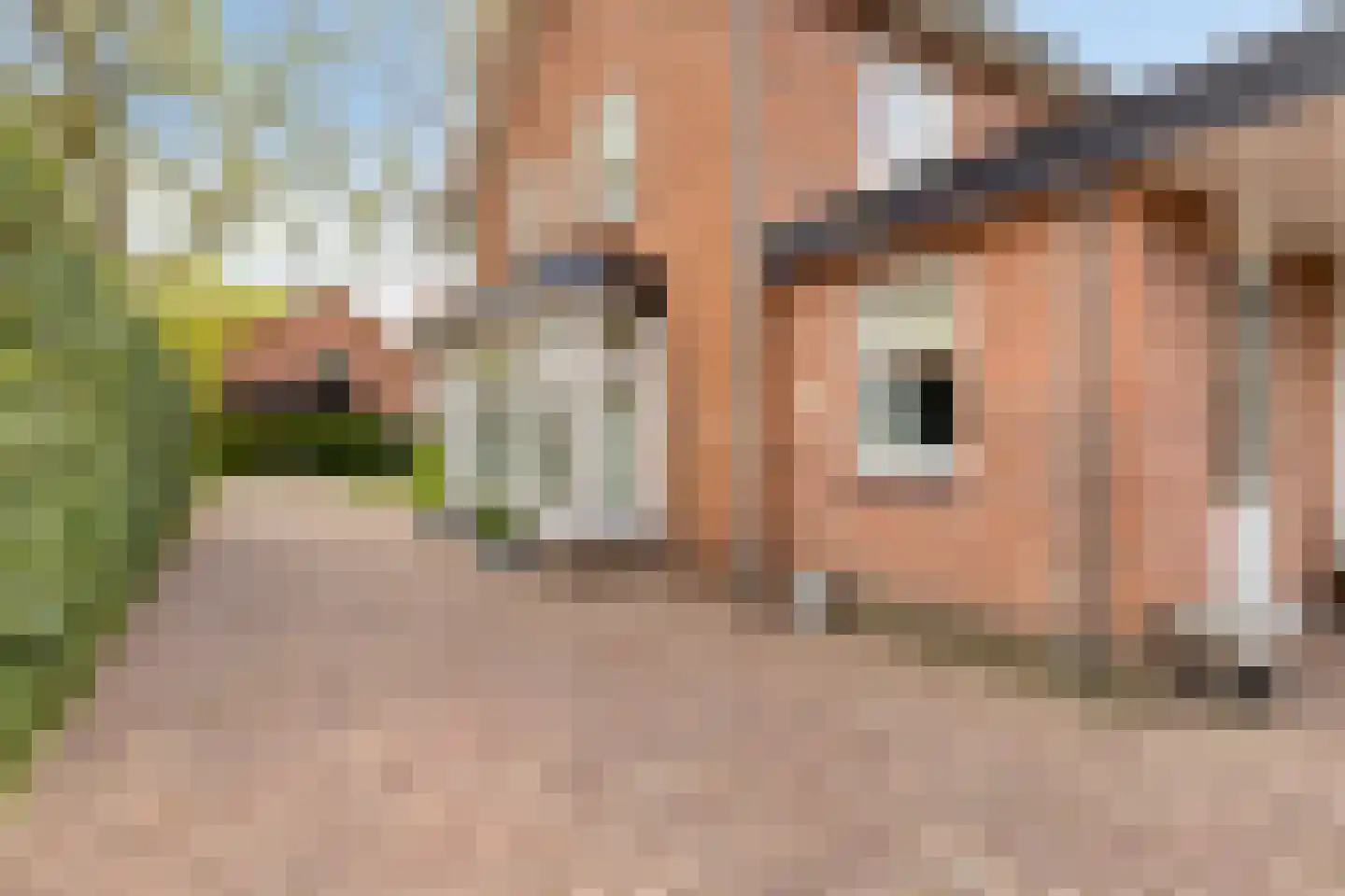 Rozenstraat 5 Hengelo (Gld) thumbnail 36
