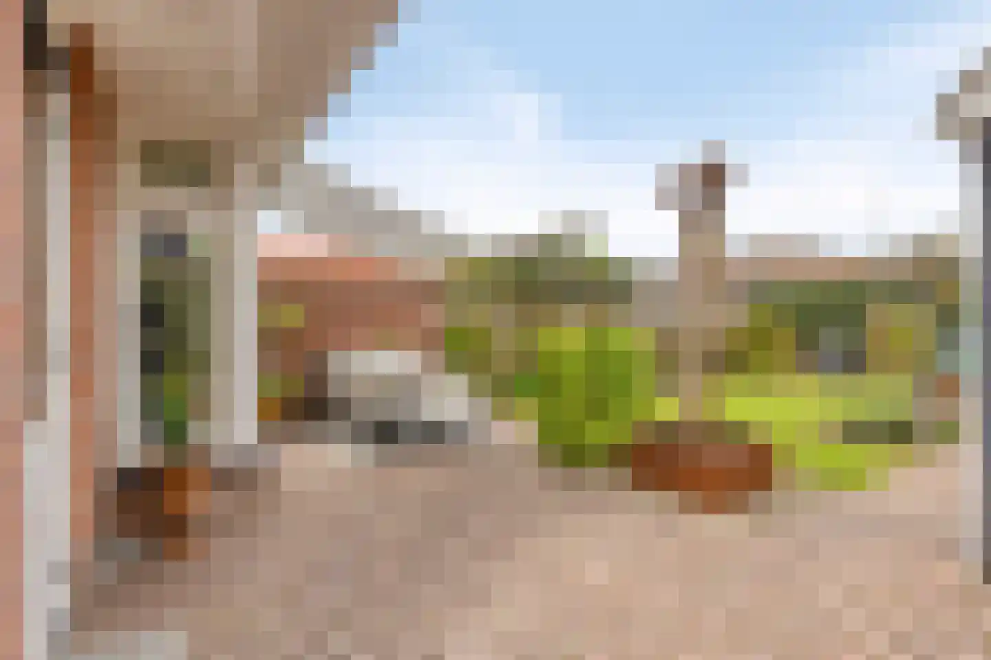 Rozenstraat 5 Hengelo (Gld) thumbnail 38