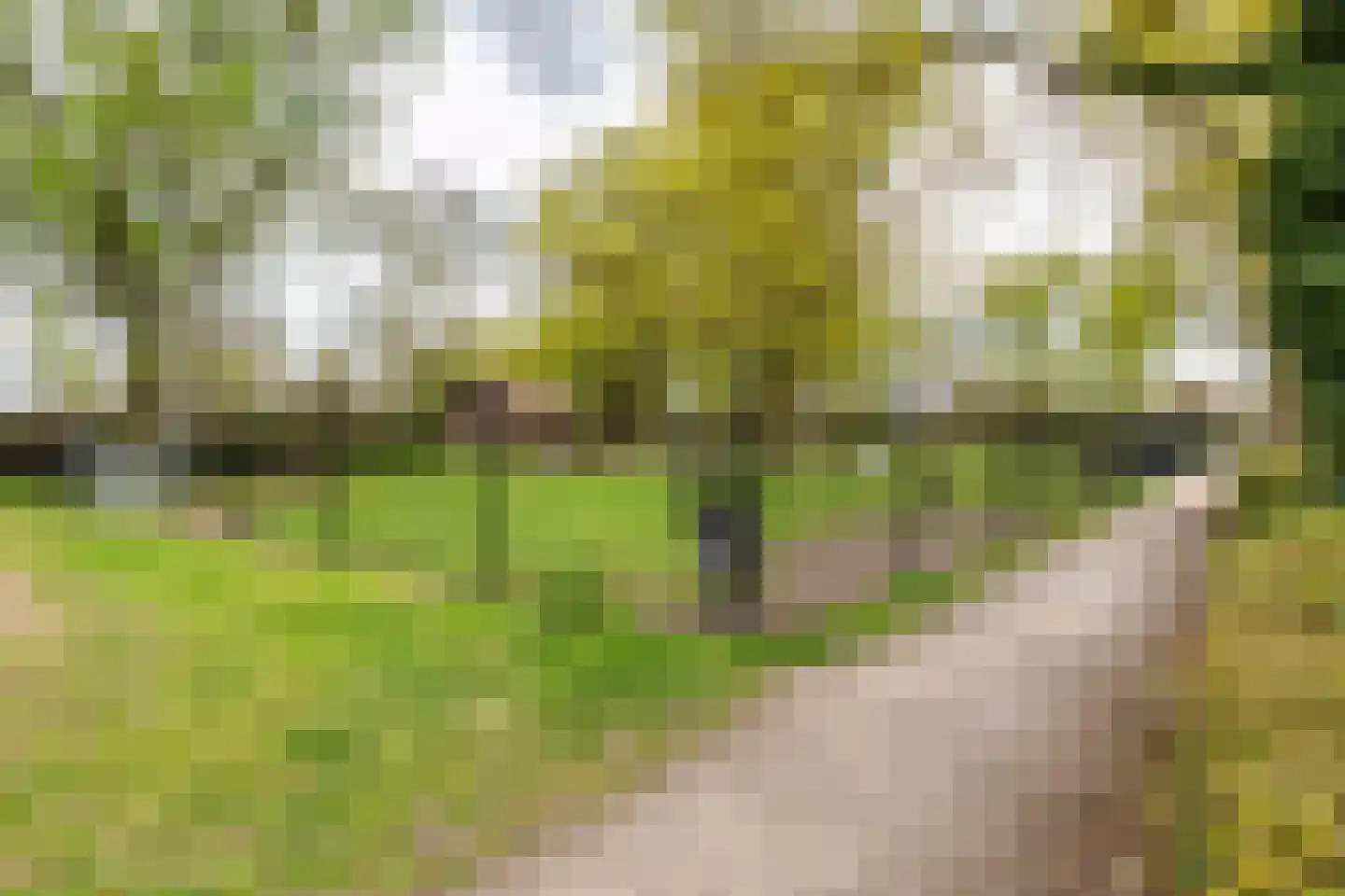 Rozenstraat 5 Hengelo (Gld) thumbnail 53