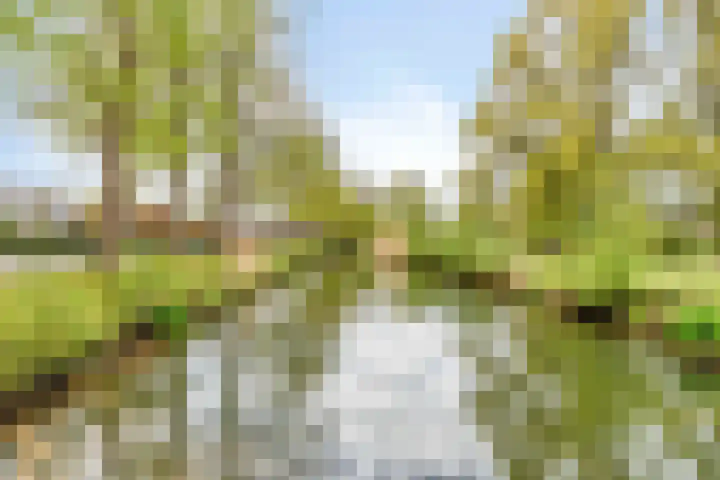 Rozenstraat 5 Hengelo (Gld) thumbnail 58