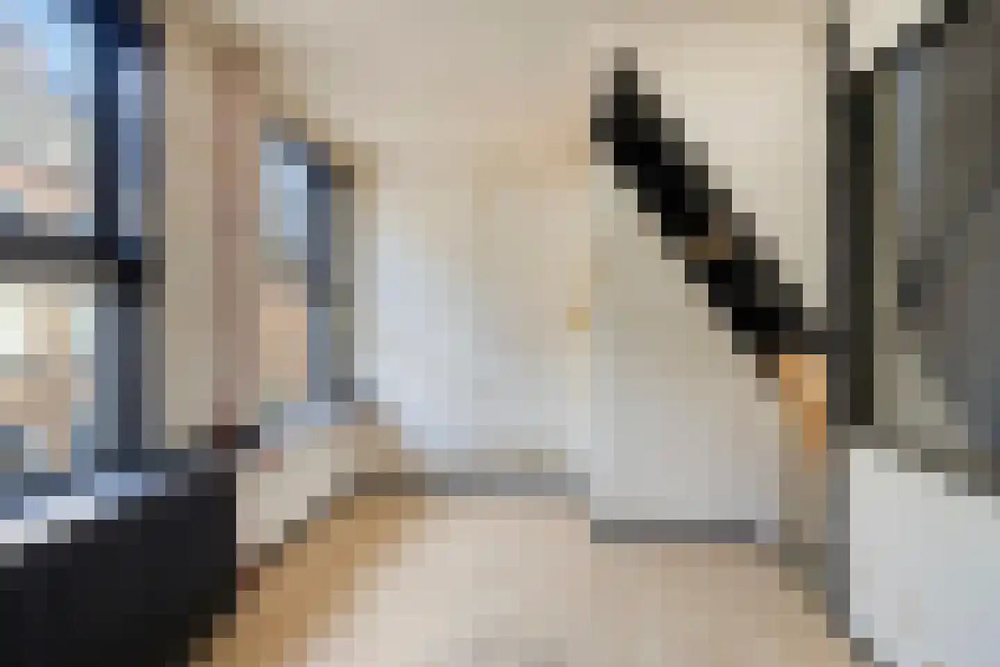 Rozenstraat 5 Kampen thumbnail 11
