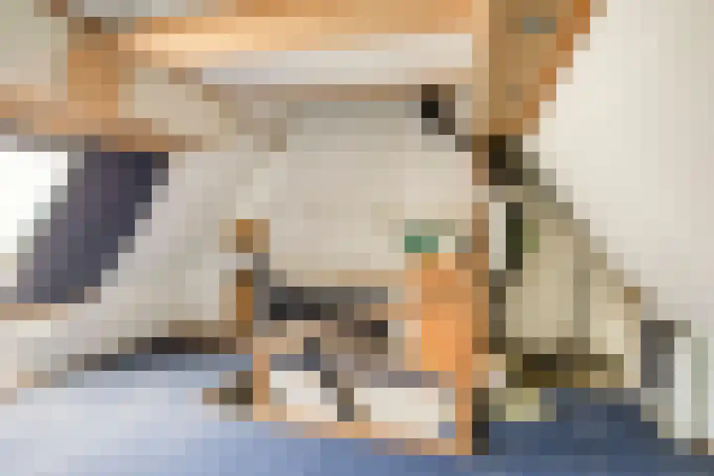 Rozenstraat 5 Kampen thumbnail 16