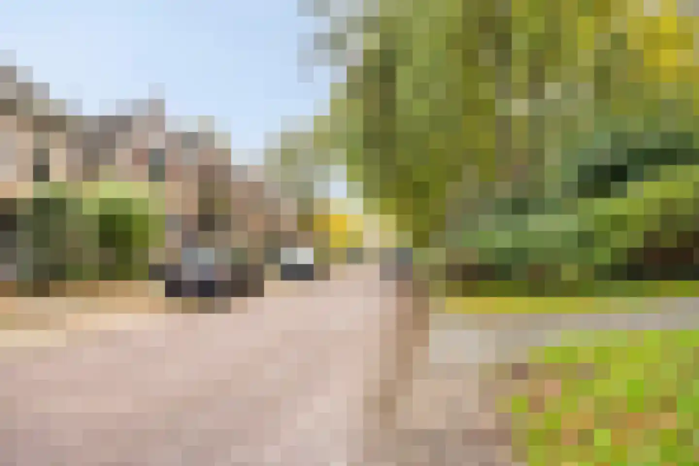 Rozenstraat 5 Kampen thumbnail 20