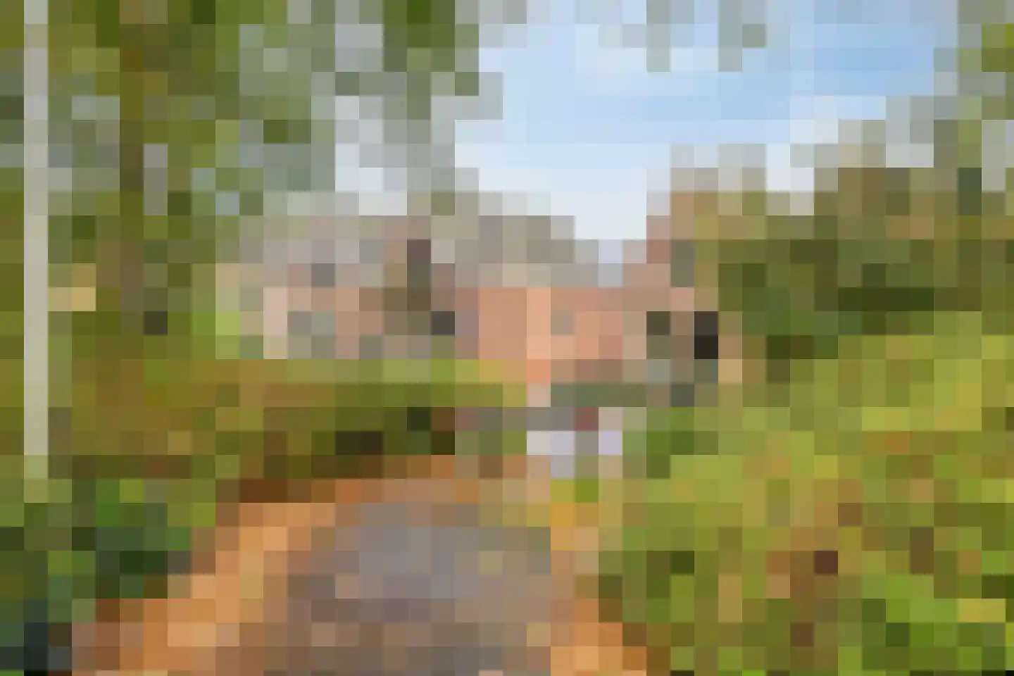 Rozenstraat 5 Kampen thumbnail 21