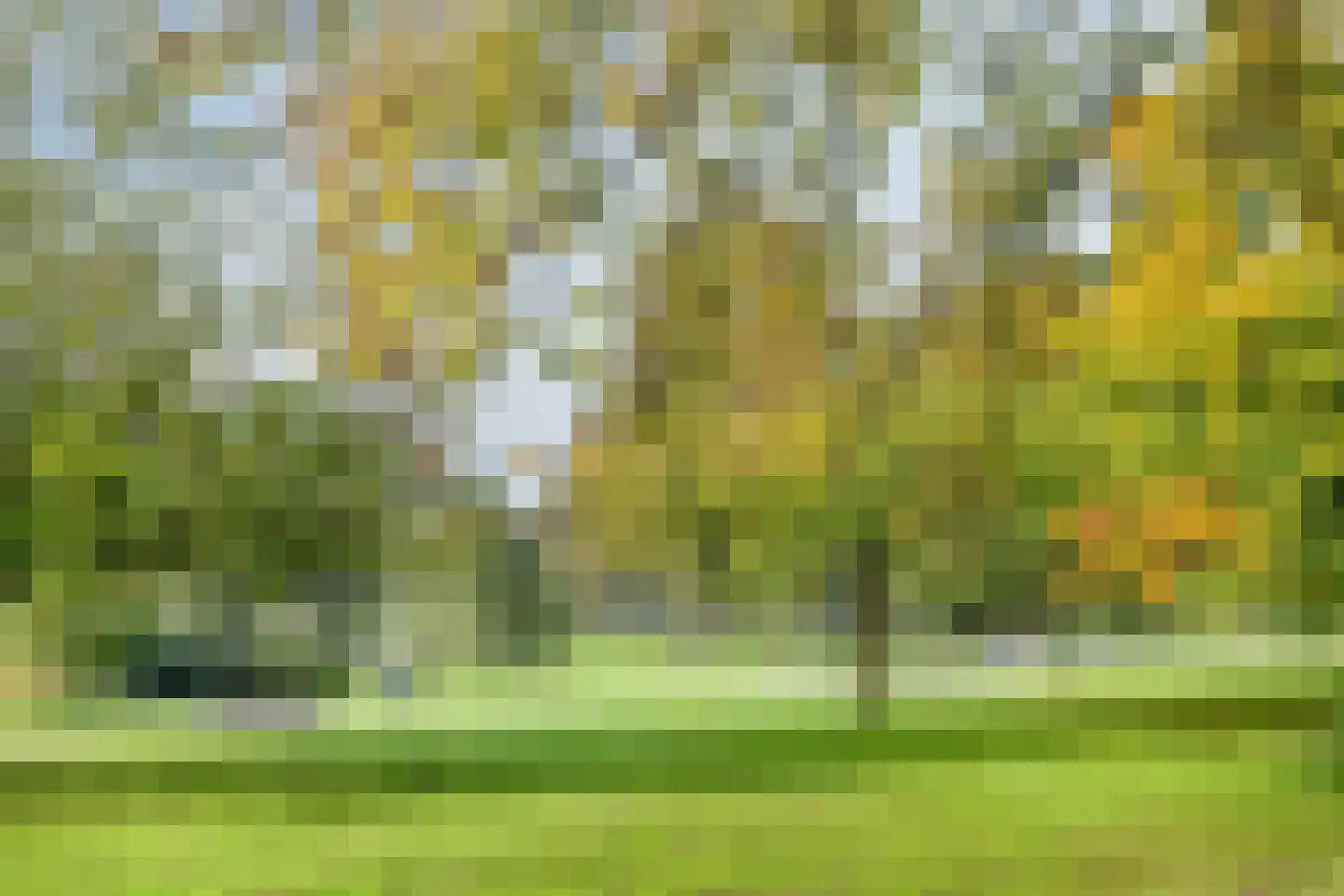 Rozenstraat 5 Kampen thumbnail 22