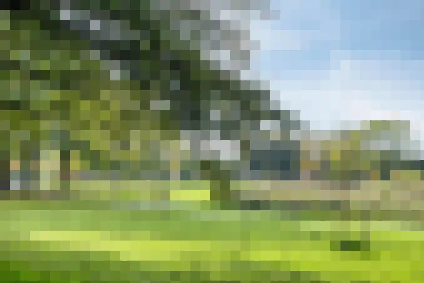 Rozenstraat 5 Kampen thumbnail 23