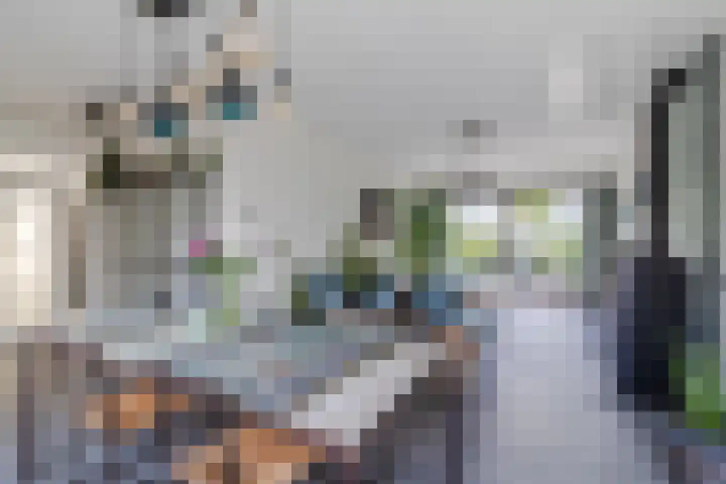 Rozenstraat 5 Papendrecht thumbnail 10