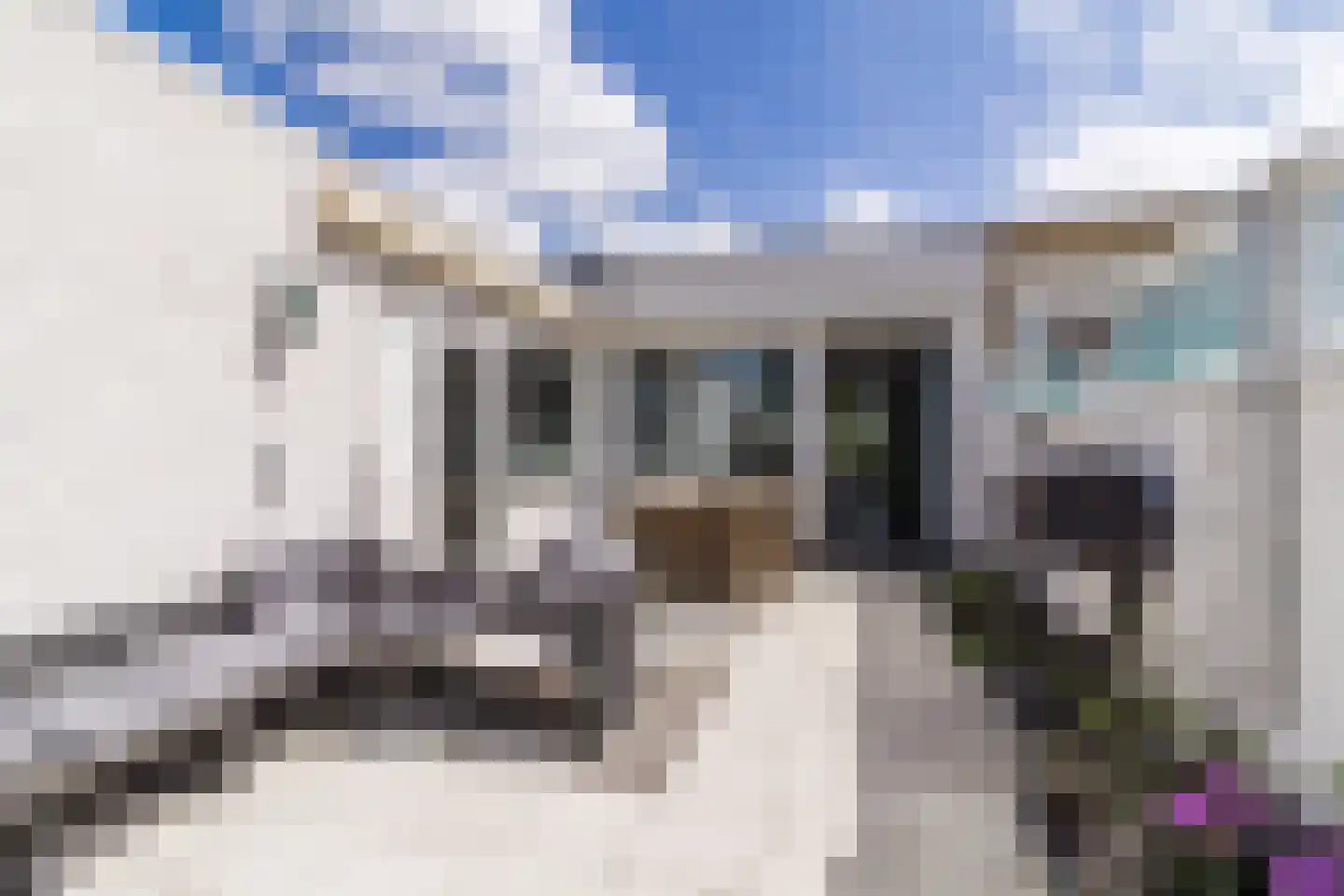 Rozenstraat 5 Papendrecht thumbnail 14