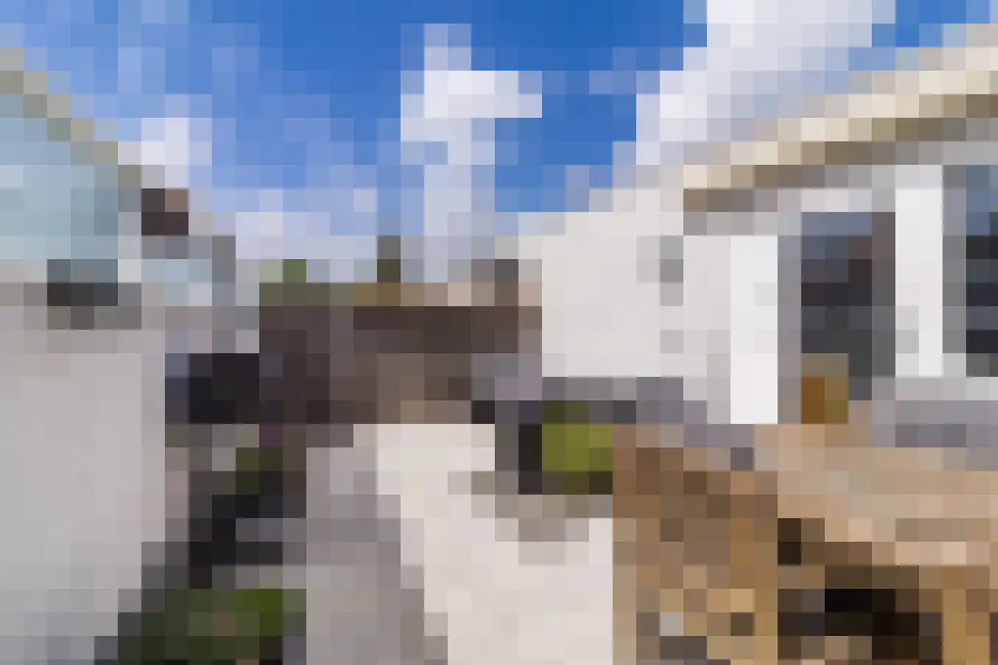 Rozenstraat 5 Papendrecht thumbnail 15
