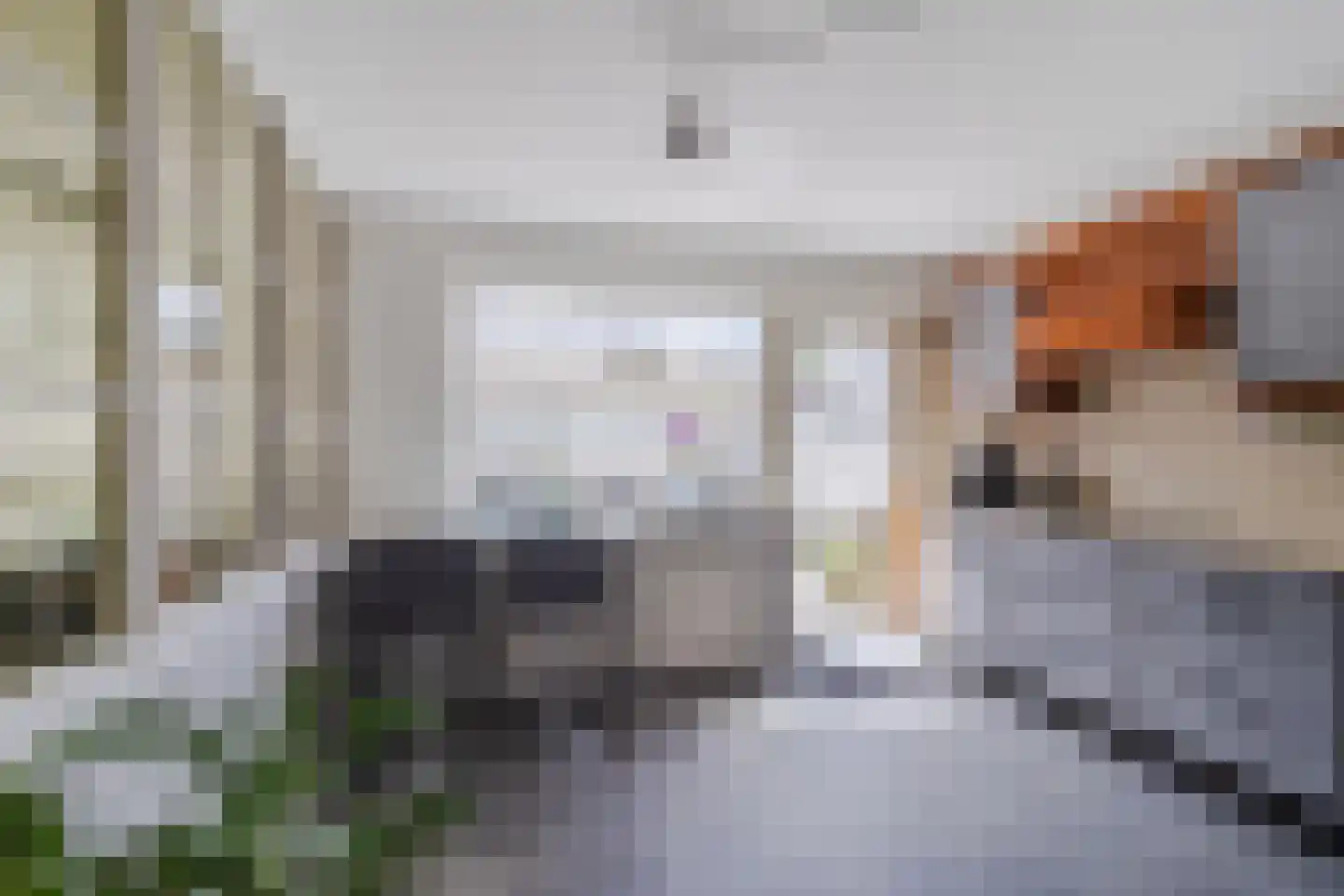 Rozenstraat 5 Papendrecht thumbnail 16