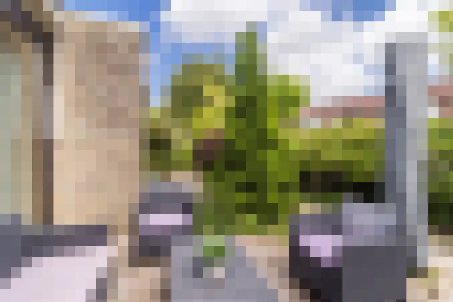 Rozenstraat 5 Papendrecht thumbnail 36