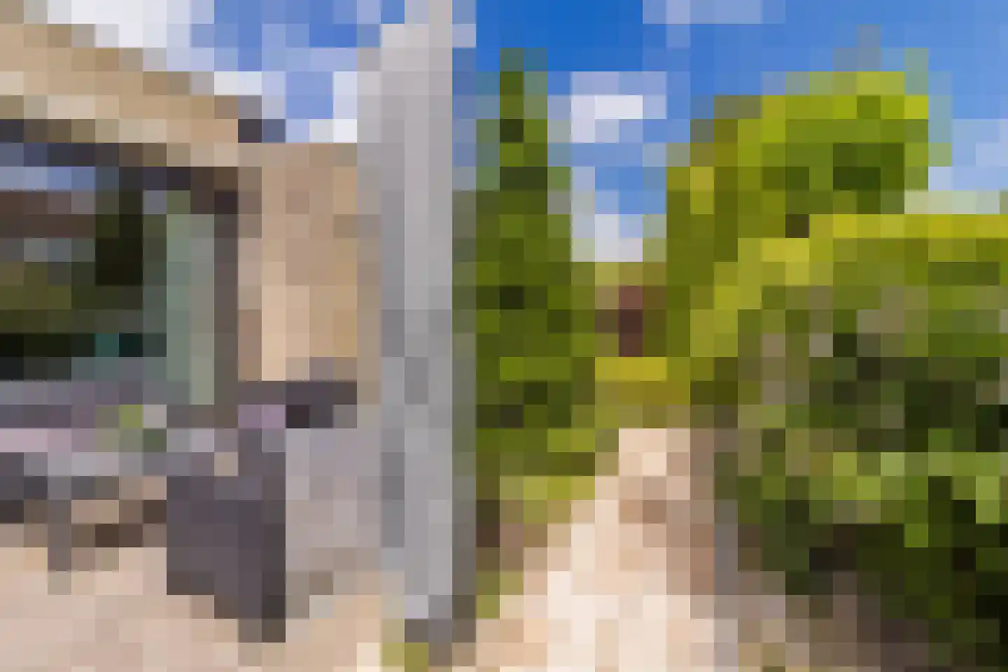 Rozenstraat 5 Papendrecht thumbnail 37