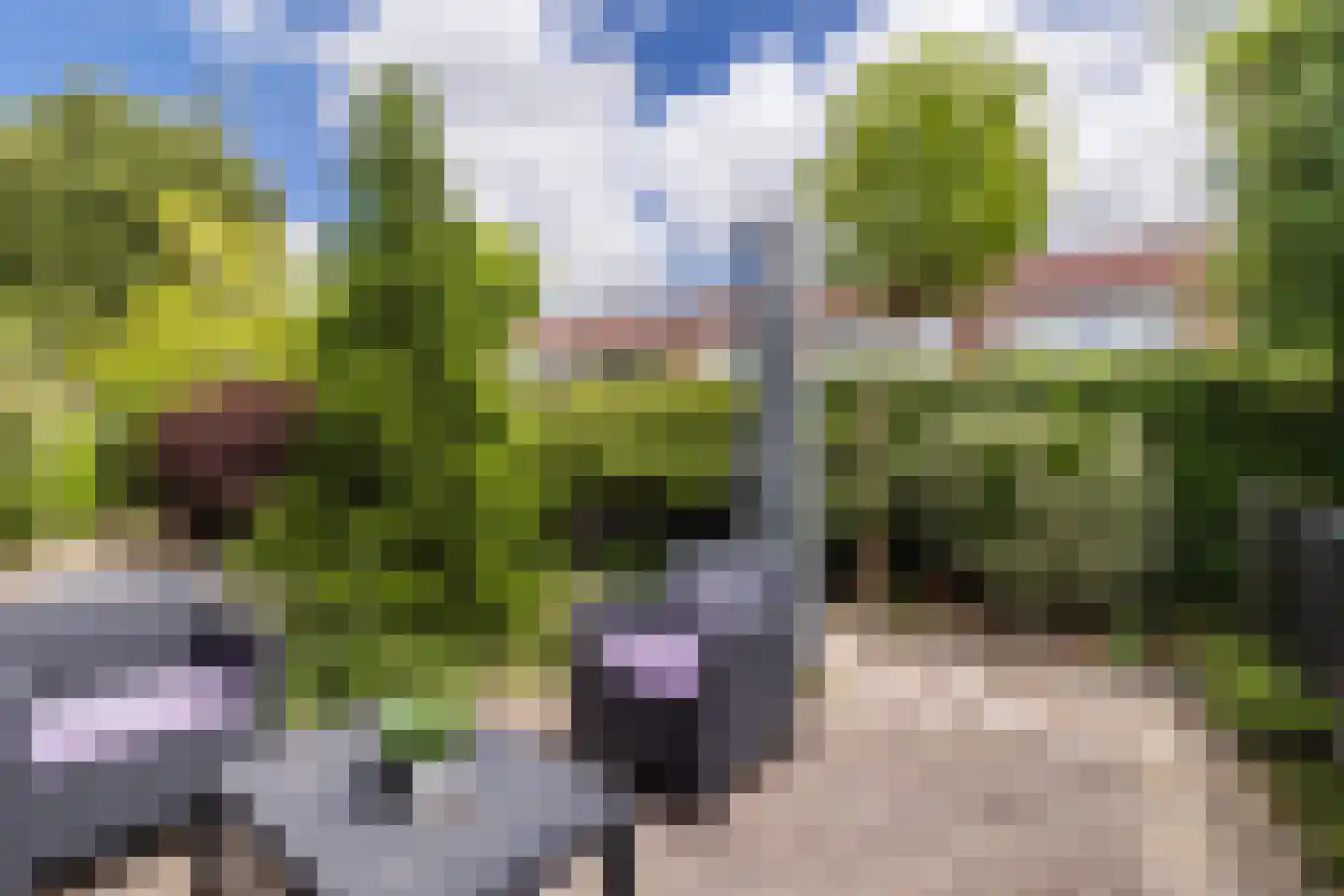 Rozenstraat 5 Papendrecht thumbnail 4