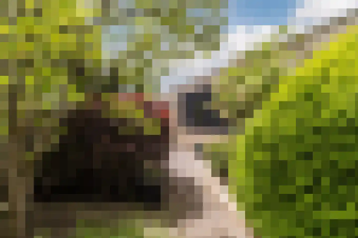 Rozenstraat 5 Papendrecht thumbnail 40