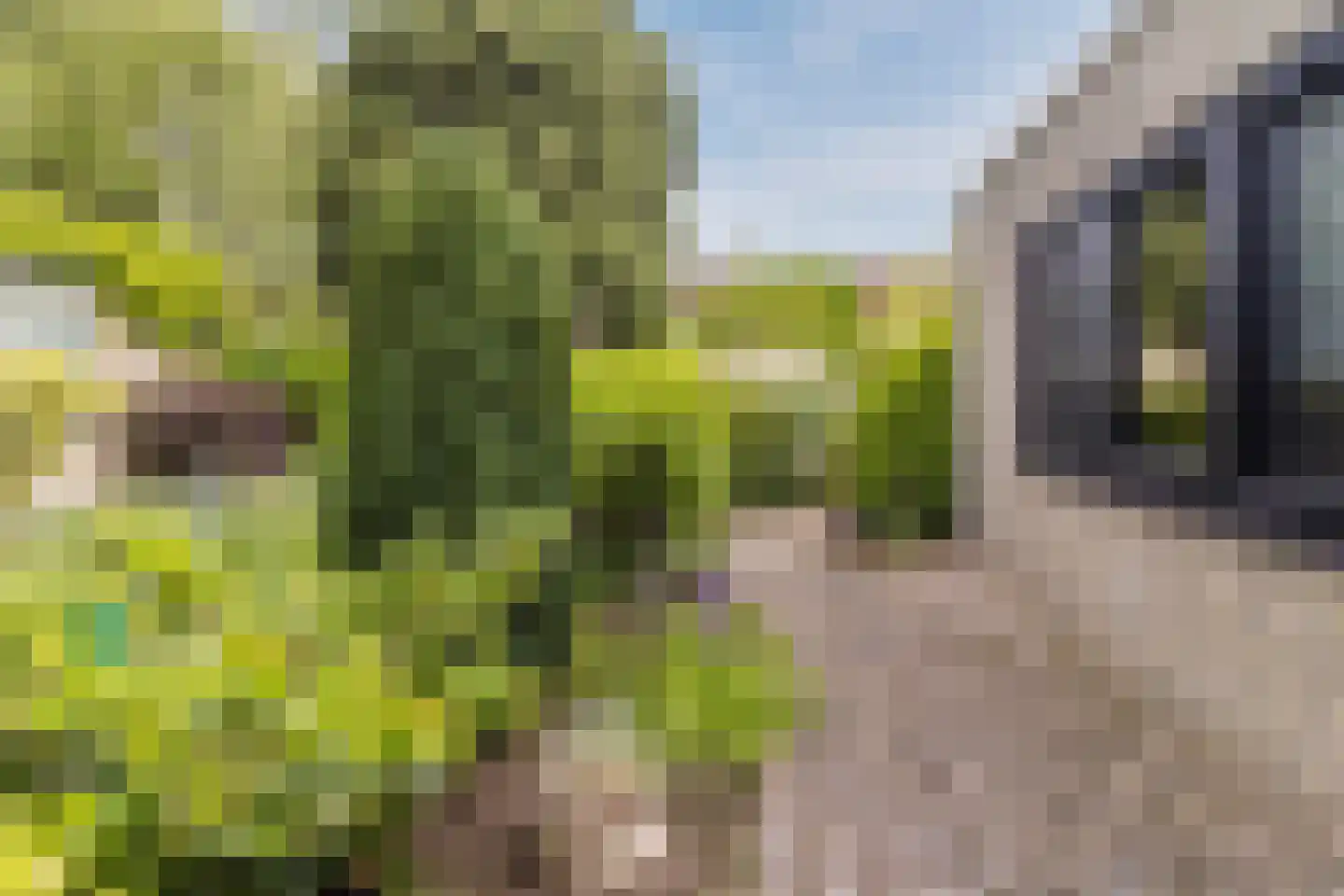 Rozenstraat 5 Papendrecht thumbnail 41