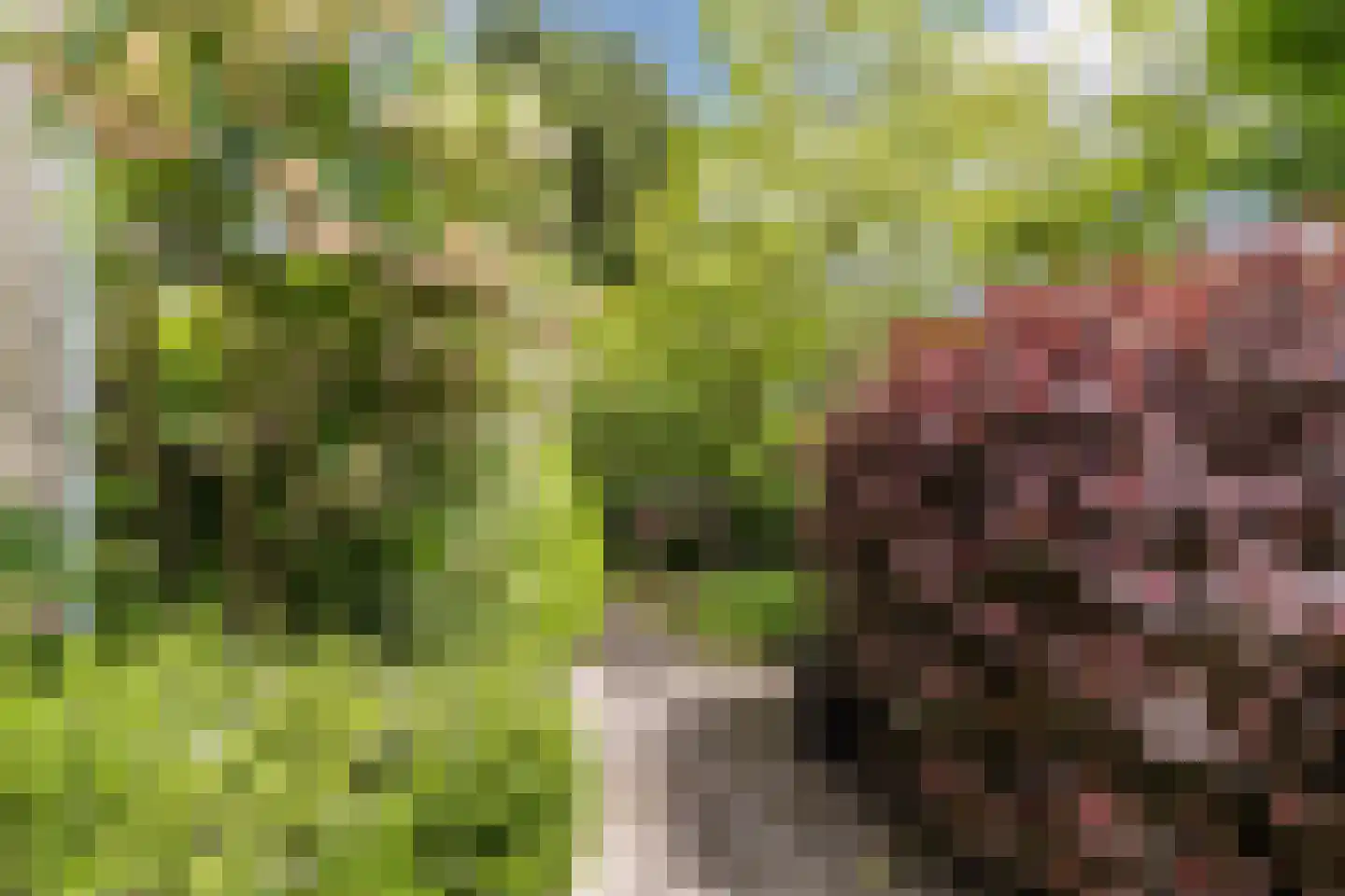 Rozenstraat 5 Papendrecht thumbnail 43