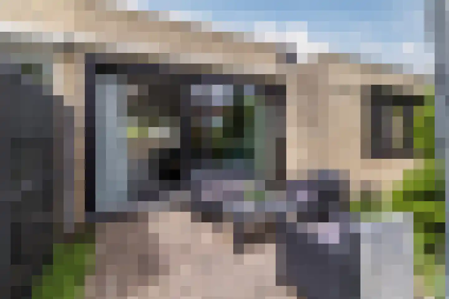 Rozenstraat 5 Papendrecht thumbnail 5