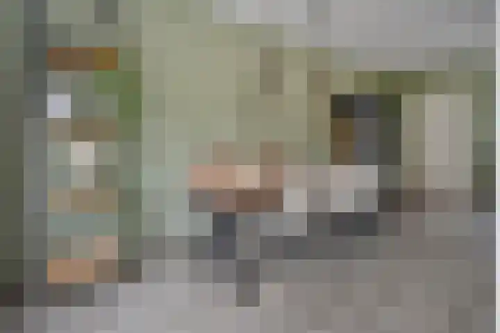 Rozenstraat 5 Raalte thumbnail 12