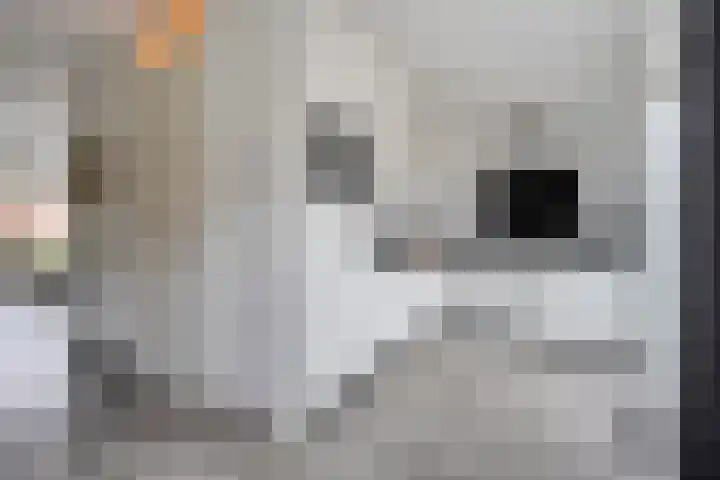 Rozenstraat 5 Raalte thumbnail 14