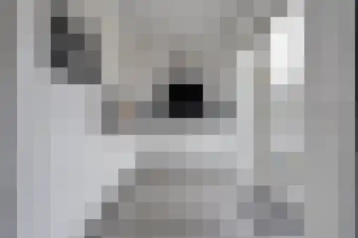 Rozenstraat 5 Raalte thumbnail 15