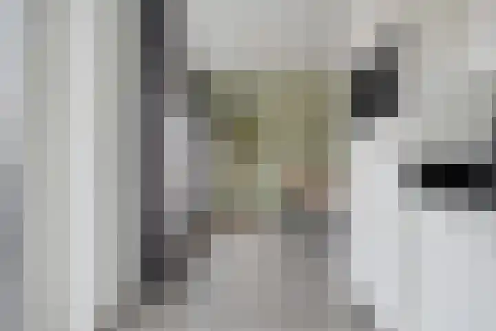 Rozenstraat 5 Raalte thumbnail 19