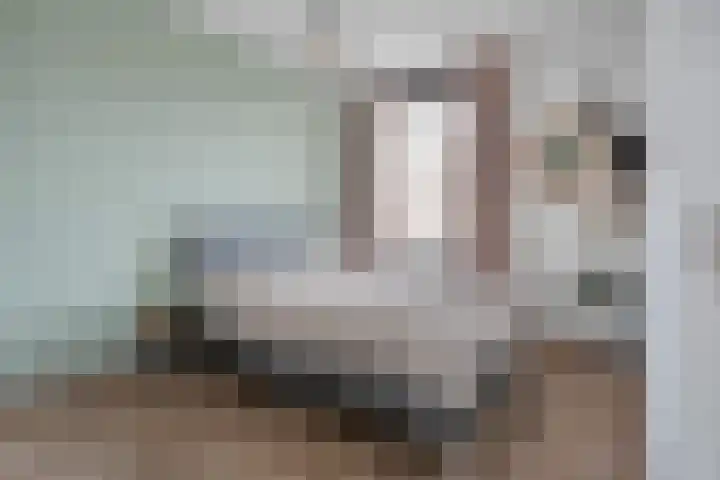 Rozenstraat 5 Raalte thumbnail 23