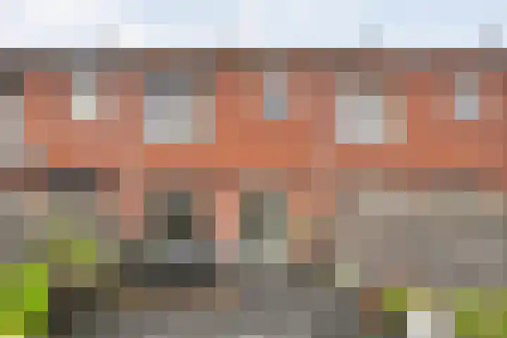 Rozenstraat 5 Raalte thumbnail 34