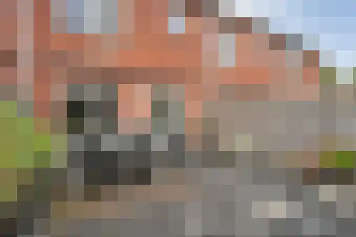 Rozenstraat 5 Raalte thumbnail 35