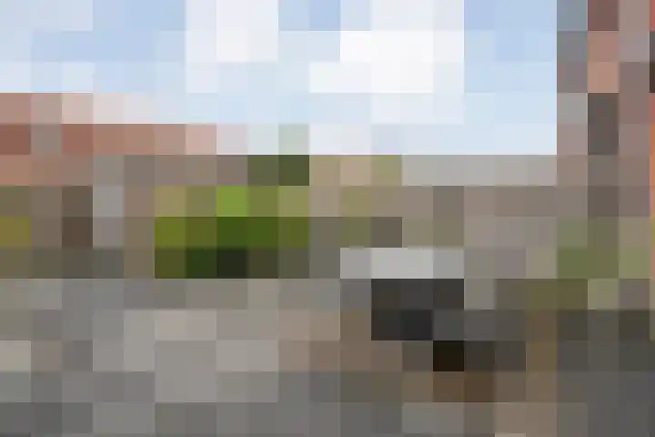 Rozenstraat 5 Raalte thumbnail 36