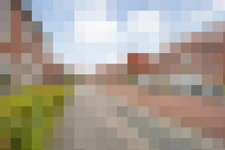 Rozenstraat 5 Raalte thumbnail 39