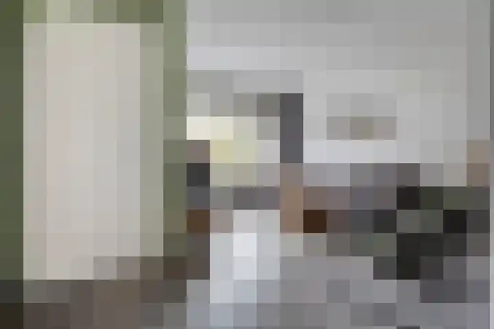 Rozenstraat 5 Raalte thumbnail 6