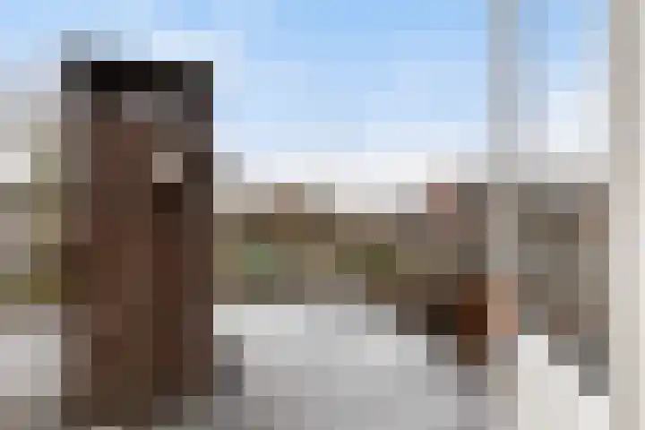 Rozenstraat 5 Woerden thumbnail 21