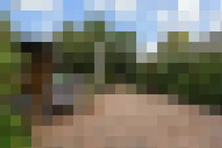 Rozenstraat 52 Rijswijk thumbnail 21