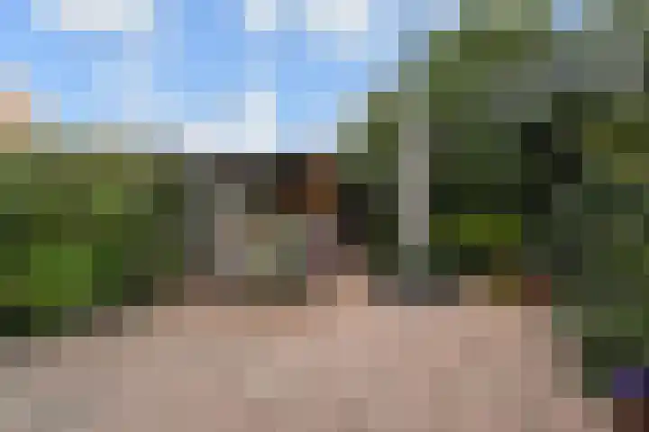 Rozenstraat 52 Rijswijk thumbnail 22